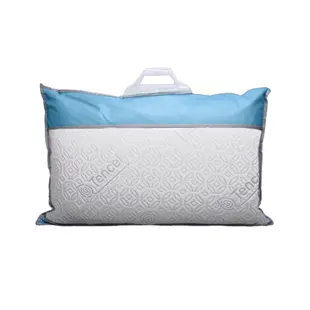 【Sandra仙朵拉】MIT台灣製 天絲記憶獨立筒枕頭x1入(枕芯/枕心/中鋼彈簧)
