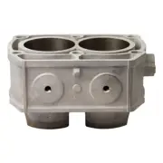 Fits 2005 Polaris Sportsman 700 EFI Standard Bore Cylinder 1638101