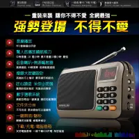在飛比找蝦皮購物優惠-HANLIN-FM309 重低音震膜插卡收音機