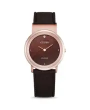 CITIZEN Women Analog Eco-Drive Casual Watch Classic Dress Brown Dial Waterproof