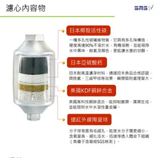 【日月光淨水】濾氯去2入特惠組 S-010 SMS沐浴器 台灣製造 除氯沐浴器【贈OTO餘氯測試液】