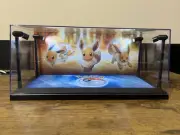 Eevee Custom 2 Card PSA display case with LED lights - Pokemon