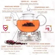Borosilicate Glass Moss & Stone 6 PCS 27OZ Tea Kettle Infuser Teapot W/ Strainer