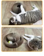 Cat Magic Organ Scratching Toy Bell Ball Board--Comes Board Pet Cats Comes Toys