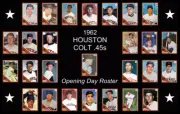 1962 HOUSTON COLT 45 45s ASTROS Opening Day Team Photo POSTER Man Cave Decor Art
