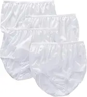 [Teri] Women's 331 Full Cut Nylon Brief Panty - 4 Pack