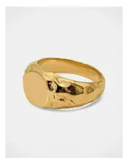 [Rawninety] Jasper 1.0 Ring in Gold