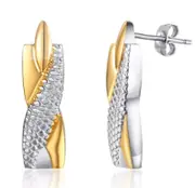 Titanium Earrings