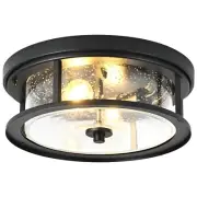 Black Ceiling Light Fixtures Flush Mount Light, 2 Bulb with Glass Flush Mount...
