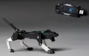 Transformer USB Flash Memory Drive 64GB
