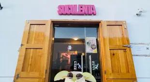 Hotel Suculenta Boutique