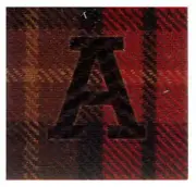 My Mind's Eye This & That Alphabet Letters Die Cut - WOOL PLAID Block