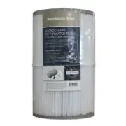 Smart Spa Supply Sundance 6540-501 OEM Replacement Spa Filter 2 pak