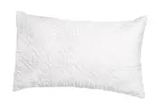 Brolly Sheets: Quilted Waterproof Pillow Protector