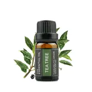 100% Pure Natural Aromatherapy Diffuser Essential Oil 10ml