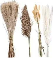 Natural Dried Phragmites Flower Arrangement Preserved Dried Flower Decor for Home Decoration Long Lasting Floral Display Present for Friends and Unique Accent
