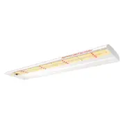 Spider Farmer SF 300 Veg - 33W - 2.2umol/J - Non Dimmable