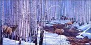 Elk Tile Backsplash Lane Kendrick Wildlife Art Ceramic Mural POV-LKA004