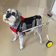 Wheels Dog Wheelchair for Back Legs, Pet Wheel Chair Adjustable, Dogs Hind Limbs Walking Mobility Aids, Dog Leg Brace Rehabilitation Chairm, Paralyzed Pets Assisted Walk Car(Large)