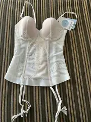 Nancy Ganz Enchanted Corset Sz 14 C Frost Colour Bnwt Acc685