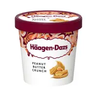 在飛比找家樂福線上購物網優惠-HaagenDazs哈根達斯 濃脆花生醬品脫杯473ml毫升