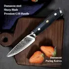 Small Fruit Utility Damascus Steel Cooking Chef Kitchen Knife Chopping Slicing