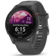 Garmin 010-02641-00 Forerunner 255 Smartwatch Running Watch - Slate Gray 46 mm