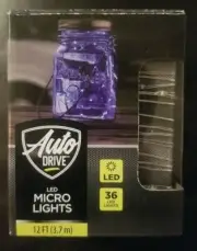 Auto Drive LED Micro Light String 12 Ft Long 36 LED Lights ~ 3 Modes ~ Timer