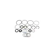 Steering Gear Seal Kit Sunsong For 1977-1980 Chevrolet Monza (for: Chevrolet)