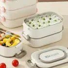 Portable Divided Lunch Box with Microwave Safe Stainless Steel Container