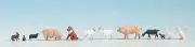 OO Scale (1/76) Farm Animals (12) by Noch oo/HO gauge Noch 15711