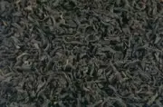 Darjeeling Tea (SECOND FLUSH 2025) GIDDAPAHAR SFTGFOP I OOLONG 500 gms