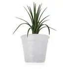 Flower Pot Reusable Corrosion-Resistant Flower Pot Stand Light-transmitting