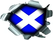 SPEED DEMONS PRIDE BURST RIP TORN TEAR STICKER GRAPHIC SELF ADHESIVE FOR ANY SURFACE INCLUDING LAPTOPS AND CARS - SCOTLAND SCOTTISH FLAG FOOTBALL RUGBY