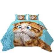 Funny Kittens Worried Ginger Kitty Cat over Blue Coverlet