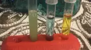 API Test Kit Testing - API Tube Holder Rack