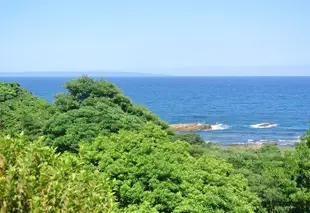 屋久島綠地飯店