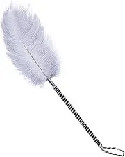 Sex Flriting Toy Sex Feather Tickler Teaser Feather Sex Tickler Spanking Toys Tickler Toy Adult Feathers For Sexual Play