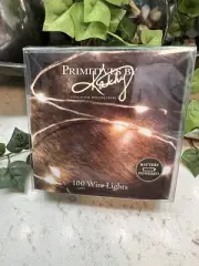 Primitives by Kathy Copper Wire Lights Battery Powered 100 Lights 6 Hour Timer