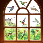 9 Hummingbird Wall Stickers Anti-Collision Window Clings Decals