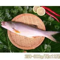 在飛比找Yahoo奇摩購物中心優惠-新鮮市集 人氣原味午仔魚12尾(250-300g/尾)