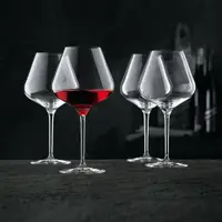 在飛比找鮮拾優惠-【Nachtmann】勃根地Vinova紅酒杯(4入組)