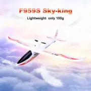 Remote Control WLtoys RC Airplane Fixed-Wing SKY-King 2.4G 3CH 6-Axis RTF
