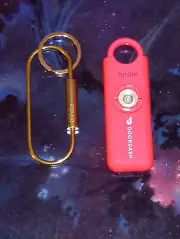 Door Dash Birdie Personal Safety Alarm for Women 130dB Siren Light & Key Chain