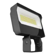 RAB X34LT/RGB LED Flood Light 690W 2200-6500K Red Green Blue Trunnion 10800LM