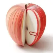 Juicy Apple Bite Sticky Memo Pads for Notes (Copy)