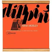 Modular LP Vinyl Record Wall Mount Display System Shelf Magnetic Holder Oak Wood