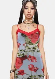 [NGOrder] Scenic Rose Print Dress