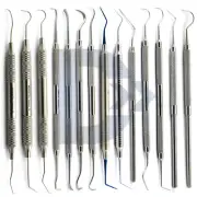 Dental Explorer Calculus Diagnostic Sickle Probe Perio Endodontic Plaque Removal