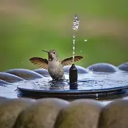 Round Solar Fountain Outdoor Landscape Pool Pond Water Pump Waterfall Decor Black